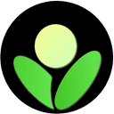 Betula  Assistant